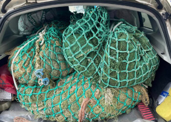 Захист та спільна робота: Маскувальні сітки від ГО “Дружини ветеранів” 