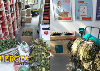 Продовжуємо допомагати дружнім організаціям у відправці їх вантажів, - БО “БФ “Гуманітарний хаб “Схід-Захід”