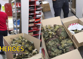 Вдячні Гуманітарній Новій пошті за допомогу у відправленні, - БО “БФ “Гуманітарний хаб “Схід-Захід”