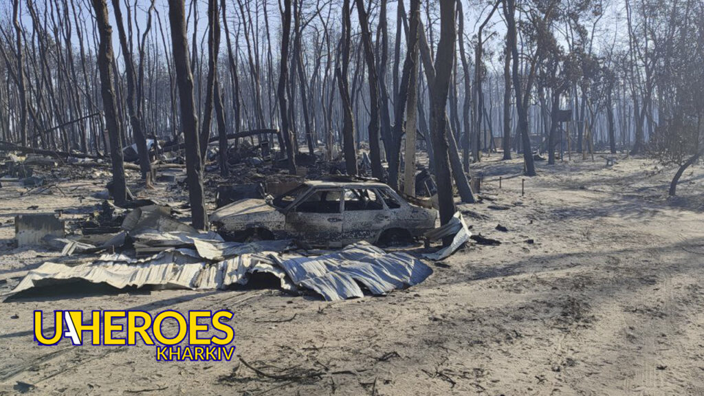 Трагедія на Харківщині: пожежа знищила 1100 будинків, 4 загиблих, - БО “БФ “Гуманітарний хаб “Схід-Захід”