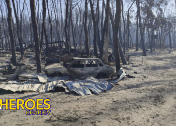 Трагедія на Харківщині: пожежа знищила 1100 будинків, 4 загиблих, - БО “БФ “Гуманітарний хаб “Схід-Захід”