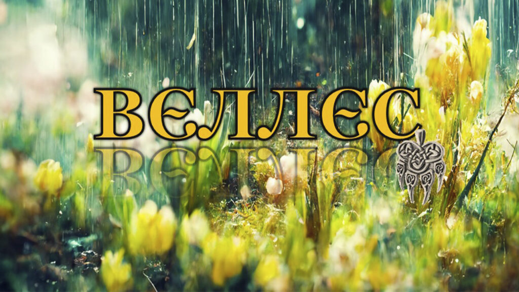 Некомерційна Організація "ВЄЛЛЄС"