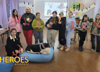 Психологічний тренінг з каністерапії та артпрактика: нові методи підтримки ментального здоров’я, - ГО “Асоціація молодіжних лідерів України”