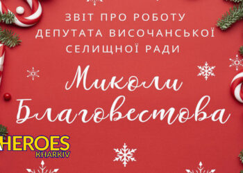 Звіт про роботу депутата Височанської селищної  ради Благовестова Миколи Олександровича за 2024 рік
