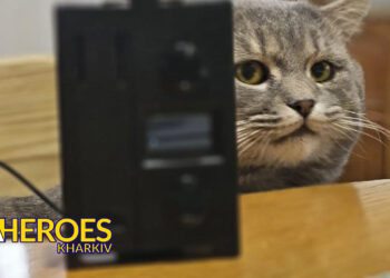 🎯 Продовжуємо збір на FPV-дрони для ЗСУ: разом до перемоги, - Ганна Безверха | Волонтер