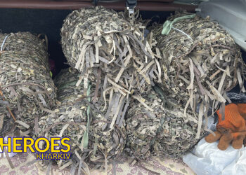 🎁 Маскувальні кікімори для ЗСУ: важлива підтримка на передовій, - ГО “Дружини ветеранів” 