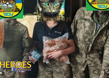 📅 Допомога 113 бригаді, 120 батальйону на Вовчанському напрямку, - Волонтерський центр допомоги "Люботин SOS"