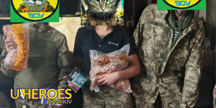 📅 Допомога 113 бригаді, 120 батальйону на Вовчанському напрямку, - Волонтерський центр допомоги "Люботин SOS"