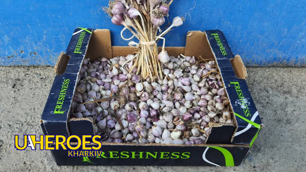 🍞 Сало з часником — смачна підтримка для наших захисників, - Волонтерський центр допомоги "Люботин SOS"