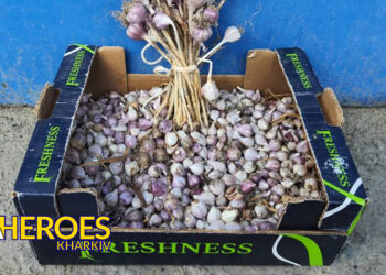 🍞 Сало з часником — смачна підтримка для наших захисників, - Волонтерський центр допомоги "Люботин SOS"