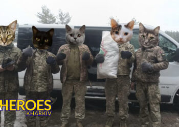 🛠️ Звіт від хлопців 93-ї бригади Холодний Яр, - Волонтерський центр допомоги "Люботин SOS"