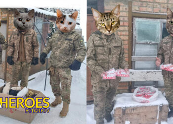 🛡️ Звіт 110-ї бригади 116 БТРО, - Волонтерський центр допомоги "Люботин SOS"