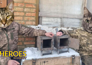 🛡️ Звіт 110 ОБ: підтримка хлопців на Запорізькому напрямку, - Волонтерський центр допомоги "Люботин SOS"