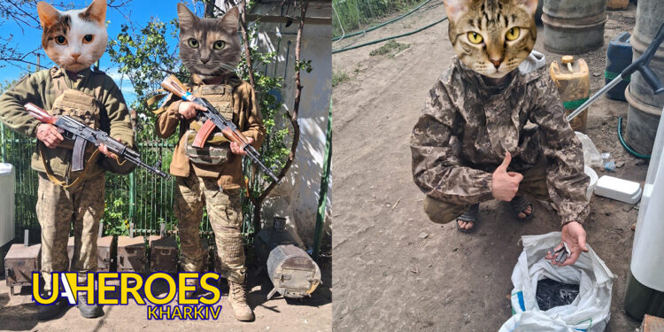 🪖 Звіт від хлопців 162-ї бригади, - Волонтерський центр допомоги "Люботин SOS"